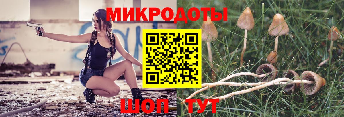 Псилоцибиновые грибы прущие грибы Новодвинск